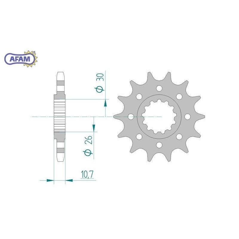 AFAM Zębatka przednia do łańcucha 525 kod 21805-17
