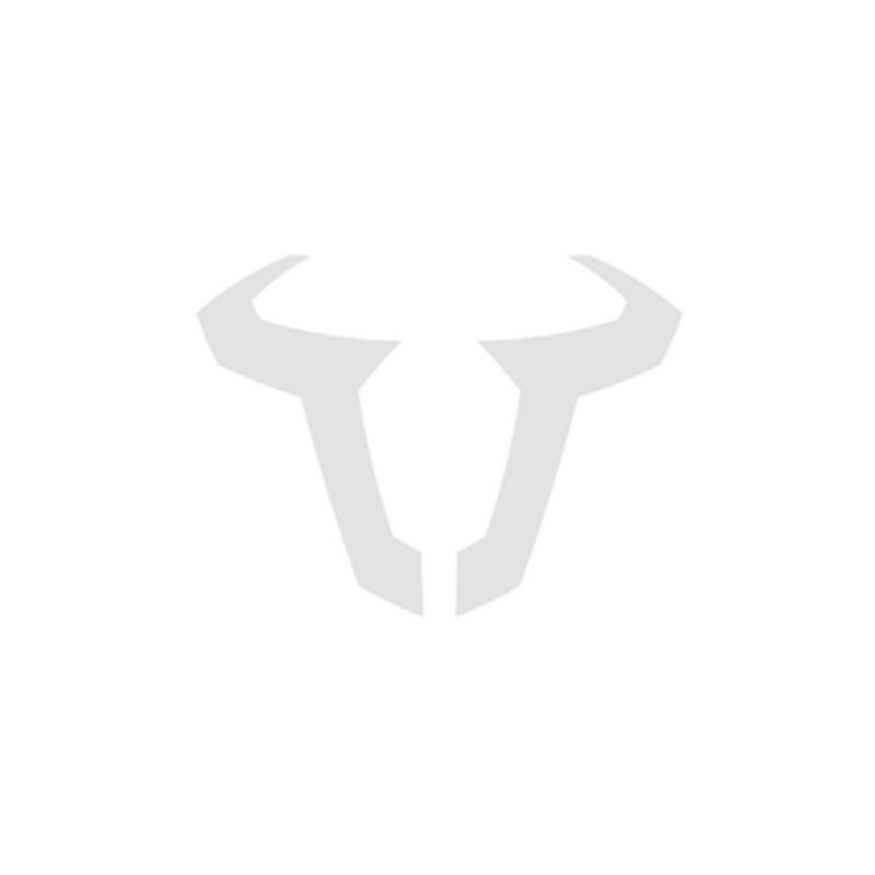 ZESTAW MONTAŻOWY PODNÓŻKÓW EVO, BMW G 310 GS (17-), SILVER, SW-MOTECH