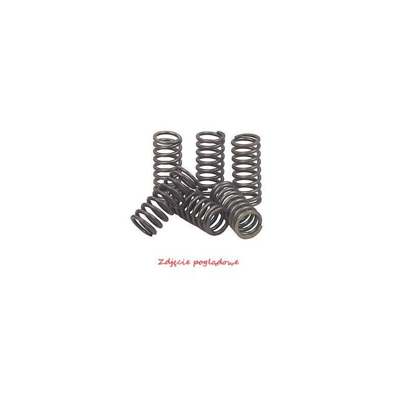 Sprężyny sprzęgłowe EBC Diaphragm Type (2szt. w zestawie) CSK907