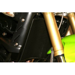 OSŁONA CHŁODNICY RG RACING TRIUMPH STREET TRIPLE 07-, TITANIUM