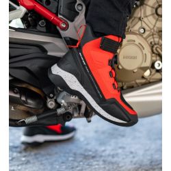 SHIMA BUTY TAKESHI