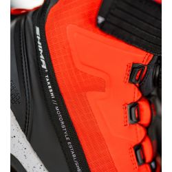 SHIMA BUTY TAKESHI