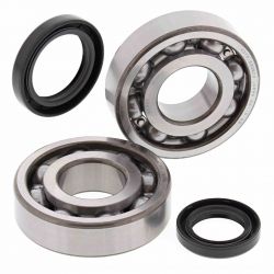 ALL BALLS ŁOŻYSKA WAŁU KORBOWEGO Z USZCZELNIACZAMI SUZUKI LT-500R 8