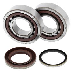 ALL BALLS ŁOŻYSKA WAŁU KORBOWEGO Z USZCZELNIACZAMI KTM SXF/EXCF 250