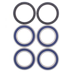 ALL BALLS ŁOŻYSKA KOŁA TYLNEGO Z USZCZELNIACZAMI CAN-AM DS450 EFI/S