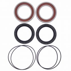 ALL BALLS ŁOŻYSKA KOŁA TYLNEGO Z USZCZELNIACZAMI YAMAHA YFM 700R RA