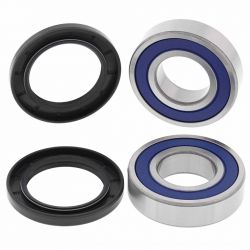 ALL BALLS ŁOŻYSKA KOŁA TYLNEGO Z USZCZELNIACZAMI CF MOTO RANCHER 50