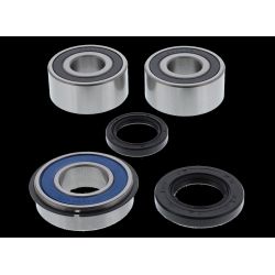 ALL BALLS ŁOŻYSKA KOŁA TYLNEGO Z USZCZELNIACZAMI TRIUMPH THUNDERBIR