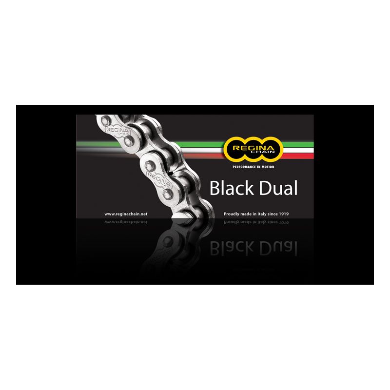 REGINA ŁAŃCUCH NAPĘDOWY 525ZRA (110 OGNIW) Z-RING DUAL DO 800 CCM C