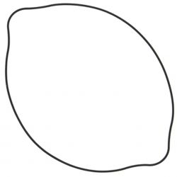 WINDEROSA (VERTEX) USZCZELKA POKRYWY SPRZĘGŁA SUZUKI RM 125 (RM125) 