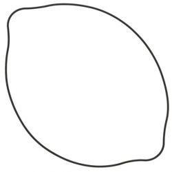 WINDEROSA (VERTEX) USZCZELKA POKRYWY SPRZĘGŁA SUZUKI RM 125 (RM125) 