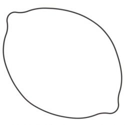 WINDEROSA (VERTEX) USZCZELKA POKRYWY SPRZĘGŁA SUZUKI RM250 (RM 250) 