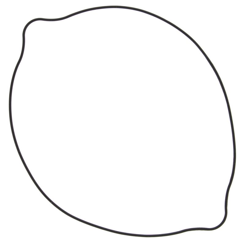 WINDEROSA (VERTEX) USZCZELKA POKRYWY SPRZĘGŁA SUZUKI RM 250 (RM250) 