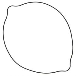 WINDEROSA (VERTEX) USZCZELKA POKRYWY SPRZĘGŁA SUZUKI RM 250 (RM250) 