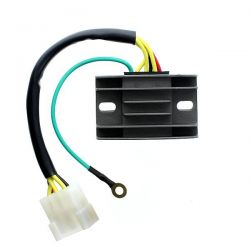 ELECTROSPORT REGULATOR...