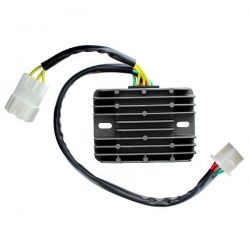 ELECTROSPORT REGULATOR...