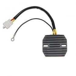 ELECTROSPORT REGULATOR...