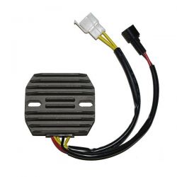 ELECTROSPORT REGULATOR...
