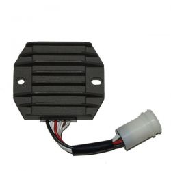 ELECTROSPORT REGULATOR...