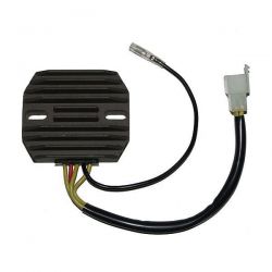 ELECTROSPORT REGULATOR...