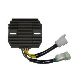 ELECTROSPORT REGULATOR...