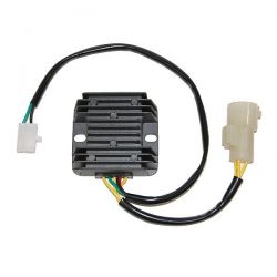 ELECTROSPORT REGULATOR...