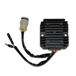 ELECTROSPORT REGULATOR...