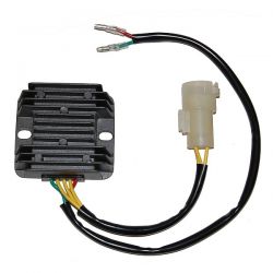 ELECTROSPORT REGULATOR...