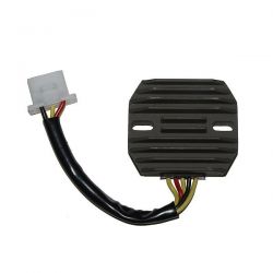 ELECTROSPORT REGULATOR...