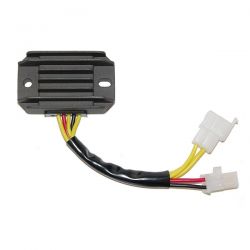 ELECTROSPORT REGULATOR...