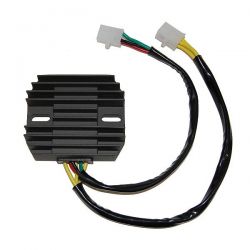 ELECTROSPORT REGULATOR...
