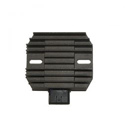 ELECTROSPORT REGULATOR...