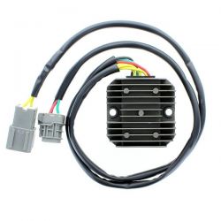 ELECTROSPORT REGULATOR...