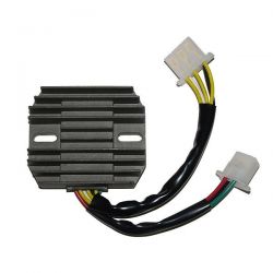 ELECTROSPORT REGULATOR...