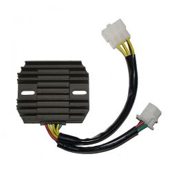 ELECTROSPORT REGULATOR...