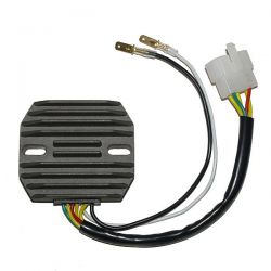 ELECTROSPORT REGULATOR...
