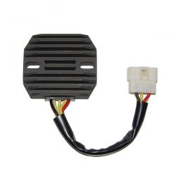 ELECTROSPORT REGULATOR...