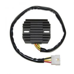 ELECTROSPORT REGULATOR...