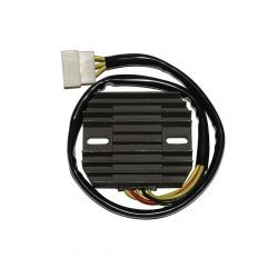 ELECTROSPORT REGULATOR...