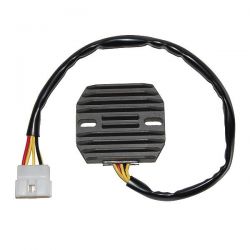 ELECTROSPORT REGULATOR...