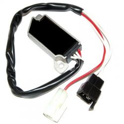 ELECTROSPORT REGULATOR...