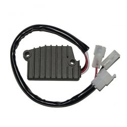 ELECTROSPORT REGULATOR...