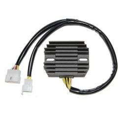 ELECTROSPORT REGULATOR...