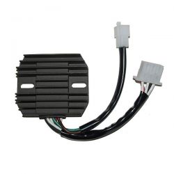 ELECTROSPORT REGULATOR...