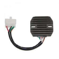 ELECTROSPORT REGULATOR...