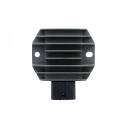 ELECTROSPORT REGULATOR...