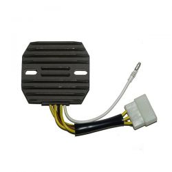 ELECTROSPORT REGULATOR...