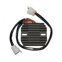 ELECTROSPORT REGULATOR...