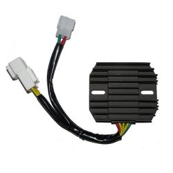 ELECTROSPORT REGULATOR...