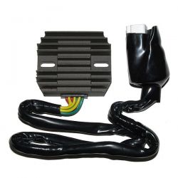 ELECTROSPORT REGULATOR...